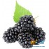 Табак для кальяна Jibiar Dragon Berry (Джибиар Ягоды Дракона) Акцизный 50г фото - 3 Табак для кальяна Jibiar Dragon Berry (Джибиар Ягоды Дракона) Акцизный 50г фото - 3
