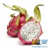Табак для кальяна Jibiar Dragon Berry (Джибиар Ягоды Дракона) Акцизный 50г фото - 5 Табак для кальяна Jibiar Dragon Berry (Джибиар Ягоды Дракона) Акцизный 50г фото - 5