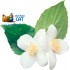 Бестабачная смесь для кальяна Chabacco Blooming Garden (Чайная смесь Чабако Цветущий Сад) Medium 50г фото - 2