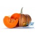 Заказать кальянный табак Spectrum Classic Jack-o-Lantern (Спектрум Тыква) 100г онлайн с доставкой всей России фото - 3 Заказать кальянный табак Spectrum Classic Jack-o-Lantern (Спектрум Тыква) 100г онлайн с доставкой всей России фото - 3
