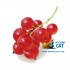 Заказать кальянный табак Spectrum Classic Red Berry (Спектрум Кислые Ягоды) 40г онлайн с доставкой всей России фото - 3