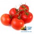 Табак для кальяна Sebero Tomato (Себеро Томат) 100г Акцизный фото - 2 Табак для кальяна Sebero Tomato (Себеро Томат) 100г Акцизный фото - 2